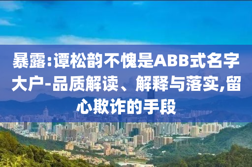暴露:譚松韻不愧是ABB式名字大戶-品質(zhì)解讀、解釋與落實(shí),留心欺詐的手段