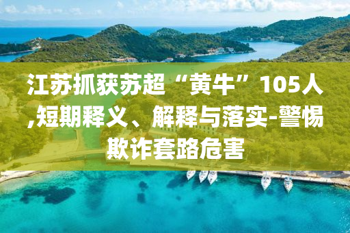江蘇抓獲蘇超“黃?！?05人,短期釋義、解釋與落實(shí)-警惕欺詐套路危害