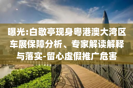 曝光:白敬亭現(xiàn)身粵港澳大灣區(qū)車展保障分析、專家解讀解釋與落實(shí)-留心虛假推廣危害