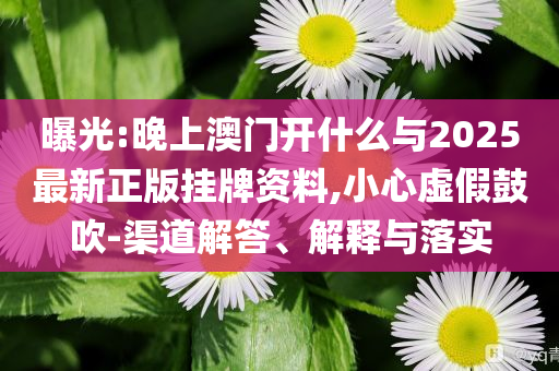 曝光:晚上澳門開(kāi)什么與2025最新正版掛牌資料,小心虛假鼓吹-渠道解答、解釋與落實(shí)