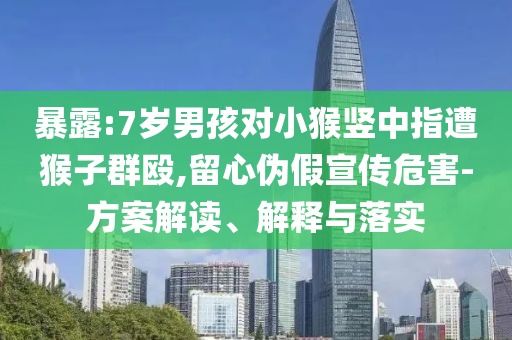 暴露:7歲男孩對小猴豎中指遭猴子群毆,留心偽假宣傳危害-方案解讀、解釋與落實