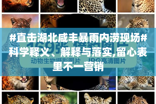 #直擊湖北咸豐暴雨內(nèi)澇現(xiàn)場#科學(xué)釋義、解釋與落實(shí),留心表里不一營銷