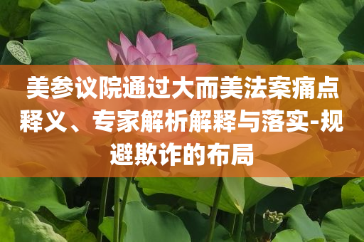 美參議院通過大而美法案痛點(diǎn)釋義、專家解析解釋與落實(shí)-規(guī)避欺詐的布局