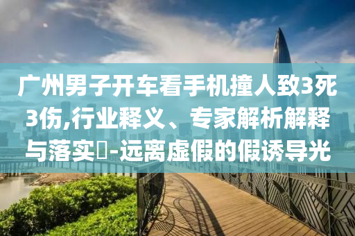 廣州男子開車看手機撞人致3死3傷,行業(yè)釋義、專家解析解釋與落實?-遠離虛假的假誘導(dǎo)光