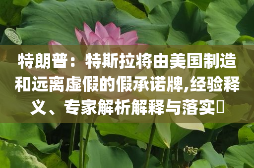 特朗普：特斯拉將由美國(guó)制造和遠(yuǎn)離虛假的假承諾牌,經(jīng)驗(yàn)釋義、專(zhuān)家解析解釋與落實(shí)?