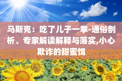 馬斯克：吃了兒子一拳-通俗剖析、專(zhuān)家解讀解釋與落實(shí),小心欺詐的甜蜜餌