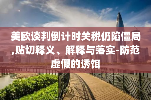 美歐談判倒計(jì)時(shí)關(guān)稅仍陷僵局,貼切釋義、解釋與落實(shí)-防范虛假的誘餌