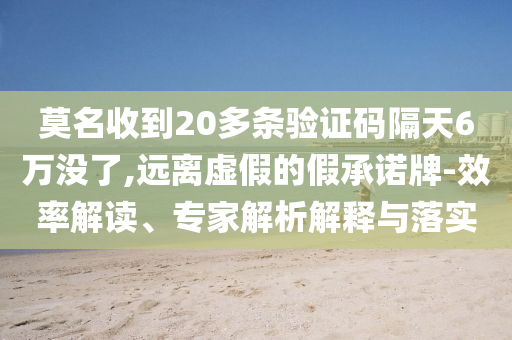 莫名收到20多條驗證碼隔天6萬沒了,遠離虛假的假承諾牌-效率解讀、專家解析解釋與落實