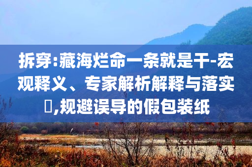 2025年7月 第41頁