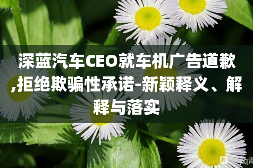 深藍(lán)汽車CEO就車機(jī)廣告道歉,拒絕欺騙性承諾-新穎釋義、解釋與落實(shí)