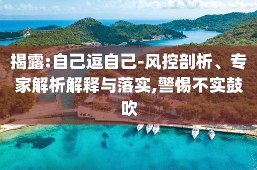 揭露:自己逗自己-風(fēng)控剖析、專家解析解釋與落實(shí),警惕不實(shí)鼓吹