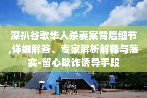 深扒谷歌華人殺妻案背后細(xì)節(jié),詳細(xì)解答、專(zhuān)家解析解釋與落實(shí)-留心欺詐誘導(dǎo)手段