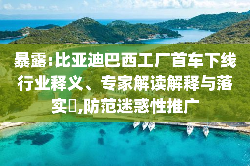 暴露:比亞迪巴西工廠首車下線行業(yè)釋義、專家解讀解釋與落實(shí)?,防范迷惑性推廣