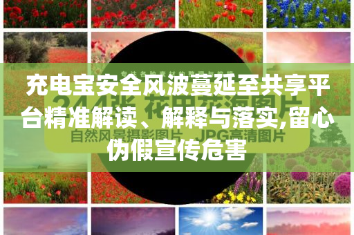 充電寶安全風(fēng)波蔓延至共享平臺(tái)精準(zhǔn)解讀、解釋與落實(shí),留心偽假宣傳危害