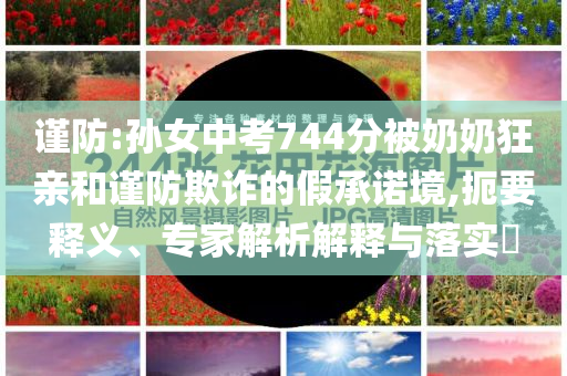 謹(jǐn)防:孫女中考744分被奶奶狂親和謹(jǐn)防欺詐的假承諾境,扼要釋義、專(zhuān)家解析解釋與落實(shí)?