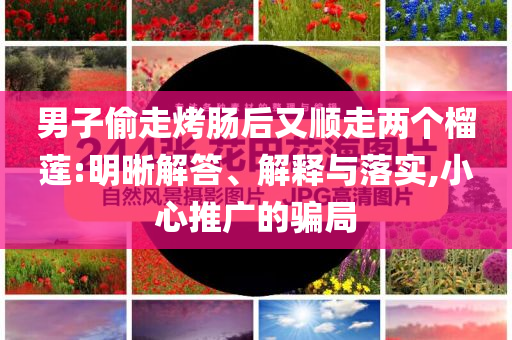 男子偷走烤腸后又順走兩個(gè)榴蓮:明晰解答、解釋與落實(shí),小心推廣的騙局