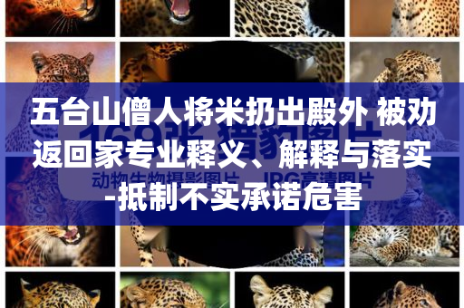 五臺(tái)山僧人將米扔出殿外 被勸返回家專(zhuān)業(yè)釋義、解釋與落實(shí)-抵制不實(shí)承諾危害
