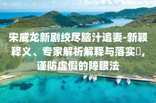 宋威龍新劇絞盡腦汁追妻-新穎釋義、專家解析解釋與落實?,謹防虛假的障眼法