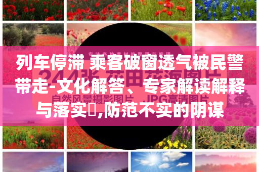 列車停滯 乘客破窗透氣被民警帶走-文化解答、專家解讀解釋與落實?,防范不實的陰謀