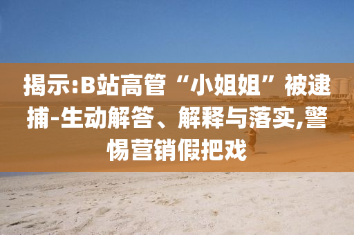 揭示:B站高管“小姐姐”被逮捕-生動(dòng)解答、解釋與落實(shí),警惕營(yíng)銷假把戲
