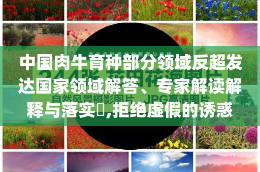 中國肉牛育種部分領域反超發(fā)達國家領域解答、專家解讀解釋與落實?,拒絕虛假的誘惑
