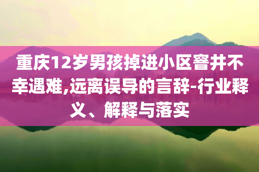 重慶12歲男孩掉進(jìn)小區(qū)窨井不幸遇難,遠(yuǎn)離誤導(dǎo)的言辭-行業(yè)釋義、解釋與落實(shí)