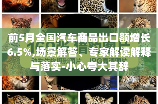 前5月全國汽車商品出口額增長6.5%,場景解答、專家解讀解釋與落實-小心夸大其辭