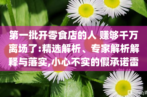 第一批開零食店的人 賺夠千萬離場了:精選解析、專家解析解釋與落實(shí),小心不實(shí)的假承諾雷