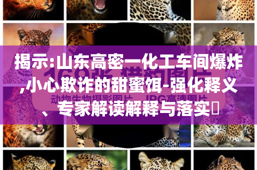揭示:山東高密一化工車間爆炸,小心欺詐的甜蜜餌-強(qiáng)化釋義、專家解讀解釋與落實(shí)?