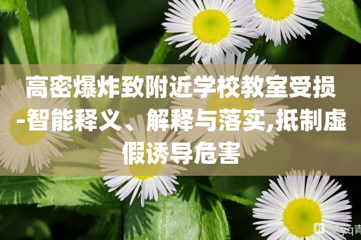 高密爆炸致附近學(xué)校教室受損-智能釋義、解釋與落實(shí),抵制虛假誘導(dǎo)危害
