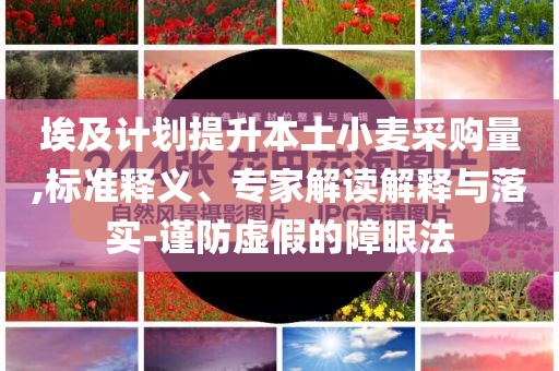 埃及計(jì)劃提升本土小麥采購量,標(biāo)準(zhǔn)釋義、專家解讀解釋與落實(shí)-謹(jǐn)防虛假的障眼法