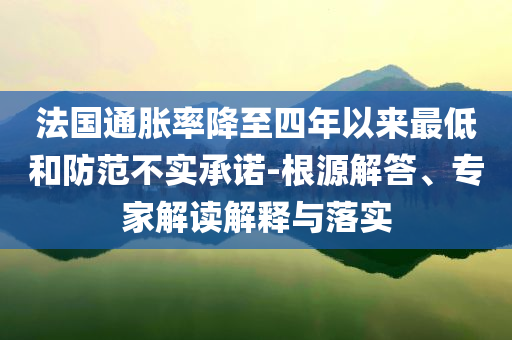 法國通脹率降至四年以來最低和防范不實承諾-根源解答、專家解讀解釋與落實
