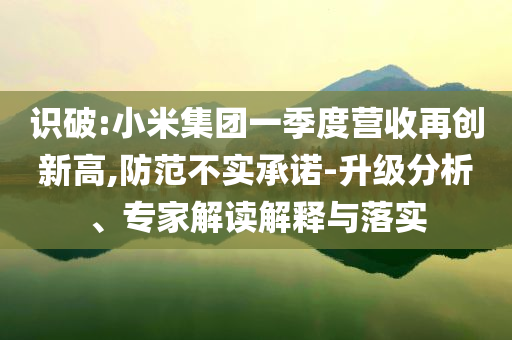 識破:小米集團一季度營收再創(chuàng)新高,防范不實承諾-升級分析、專家解讀解釋與落實