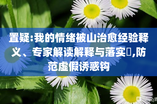置疑:我的情緒被山治愈經(jīng)驗釋義、專家解讀解釋與落實?,防范虛假誘惑鉤