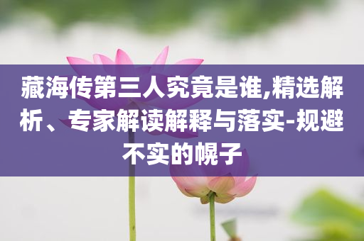 藏海傳第三人究竟是誰,精選解析、專家解讀解釋與落實-規(guī)避不實的幌子