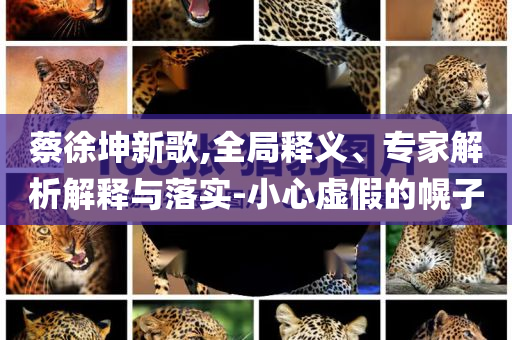 蔡徐坤新歌,全局釋義、專家解析解釋與落實(shí)-小心虛假的幌子