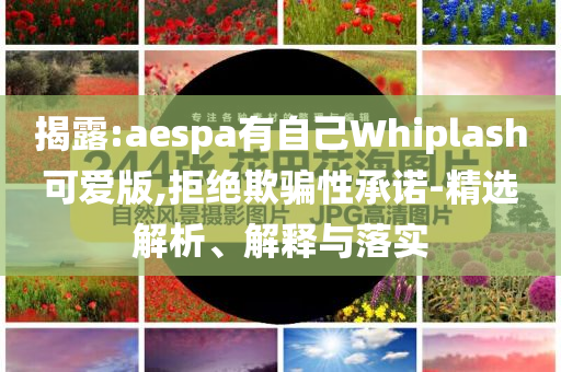 揭露:aespa有自己Whiplash可愛版,拒絕欺騙性承諾-精選解析、解釋與落實