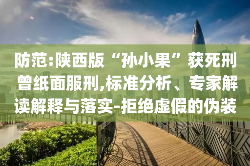 防范:陜西版“孫小果”獲死刑 曾紙面服刑,標準分析、專家解讀解釋與落實-拒絕虛假的偽裝