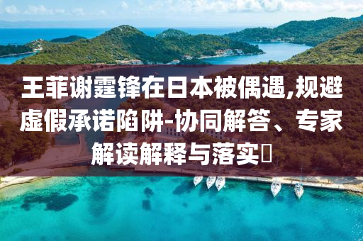 王菲謝霆鋒在日本被偶遇,規(guī)避虛假承諾陷阱-協(xié)同解答、專家解讀解釋與落實?