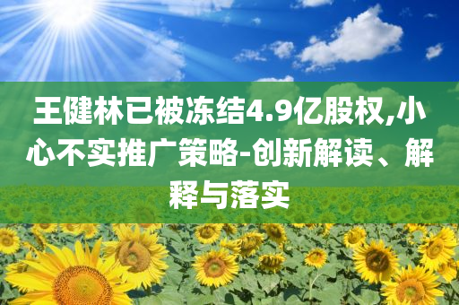 王健林已被凍結(jié)4.9億股權(quán),小心不實推廣策略-創(chuàng)新解讀、解釋與落實