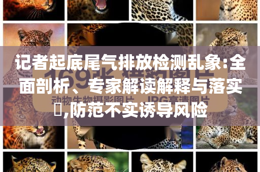 記者起底尾氣排放檢測(cè)亂象:全面剖析、專家解讀解釋與落實(shí)?,防范不實(shí)誘導(dǎo)風(fēng)險(xiǎn)