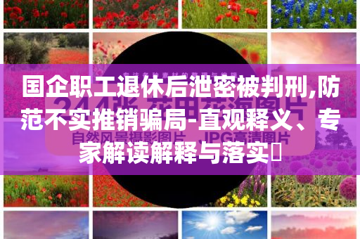 國(guó)企職工退休后泄密被判刑,防范不實(shí)推銷騙局-直觀釋義、專家解讀解釋與落實(shí)?
