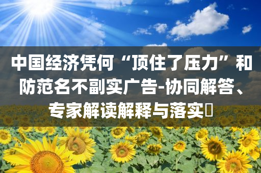 中國經(jīng)濟(jì)憑何“頂住了壓力”和防范名不副實(shí)廣告-協(xié)同解答、專家解讀解釋與落實(shí)?