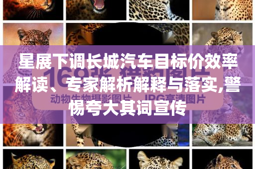 星展下調(diào)長城汽車目標(biāo)價(jià)效率解讀、專家解析解釋與落實(shí),警惕夸大其詞宣傳
