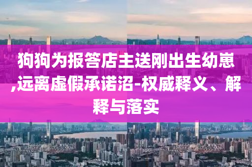 狗狗為報(bào)答店主送剛出生幼崽,遠(yuǎn)離虛假承諾沼-權(quán)威釋義、解釋與落實(shí)
