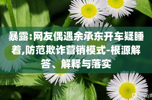 暴露:網(wǎng)友偶遇余承東開車疑睡著,防范欺詐營銷模式-根源解答、解釋與落實