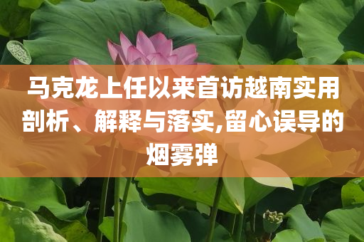 馬克龍上任以來首訪越南實(shí)用剖析、解釋與落實(shí),留心誤導(dǎo)的煙霧彈