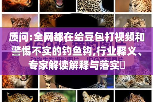 質(zhì)問:全網(wǎng)都在給豆包打視頻和警惕不實的釣魚鉤,行業(yè)釋義、專家解讀解釋與落實?