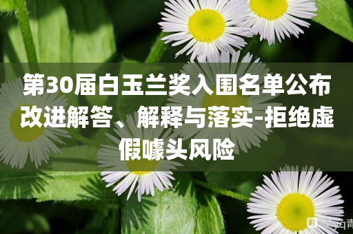 第30屆白玉蘭獎入圍名單公布改進解答、解釋與落實-拒絕虛假噱頭風險