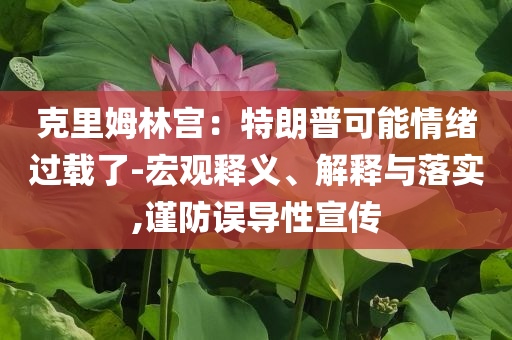 克里姆林宮：特朗普可能情緒過(guò)載了-宏觀釋義、解釋與落實(shí),謹(jǐn)防誤導(dǎo)性宣傳